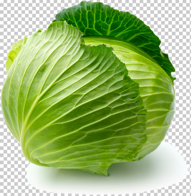 Cabbage Leaf Vegetable Wild Cabbage Plant PNG, Clipart, Cabbage, Flower, Food, Iceburg Lettuce, Leaf Free PNG Download