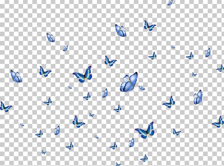 Butterfly Wink PNG, Clipart, Blue, Butterflies And Moths, Butterfly, Color, Computer Software Free PNG Download