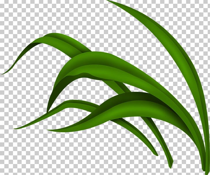 Green PNG, Clipart, Cartoon, Copyright, Flora, Flower, Fresh Free PNG Download