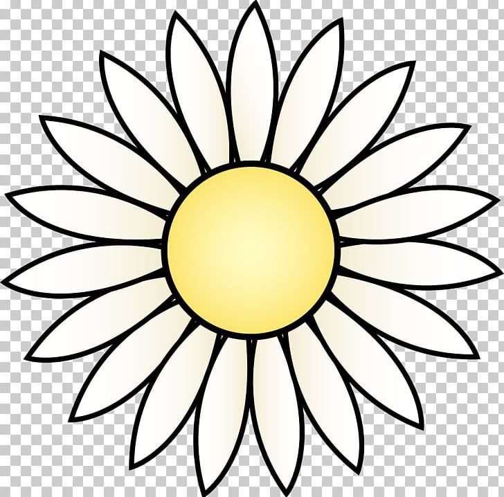 Common Sunflower Drawing White Black PNG, Clipart, Black, Black And White, Circle, Clip Art, Common Sunflower Free PNG Download