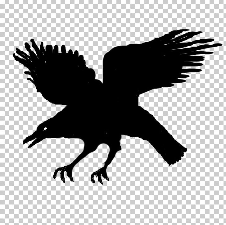 Eagle Silhouette Character Beak PNG, Clipart, Animals, Beak, Bird, Bird Of Prey, Black Free PNG Download