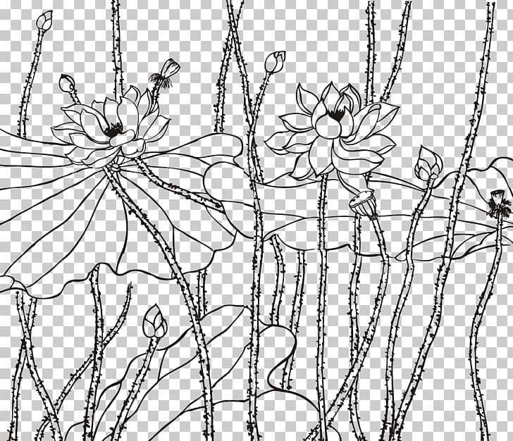 Nelumbo Nucifera Drawing Line Art Euclidean PNG, Clipart, Branch, Chinese New Year, Chinese Style, Flower, Flowers Free PNG Download