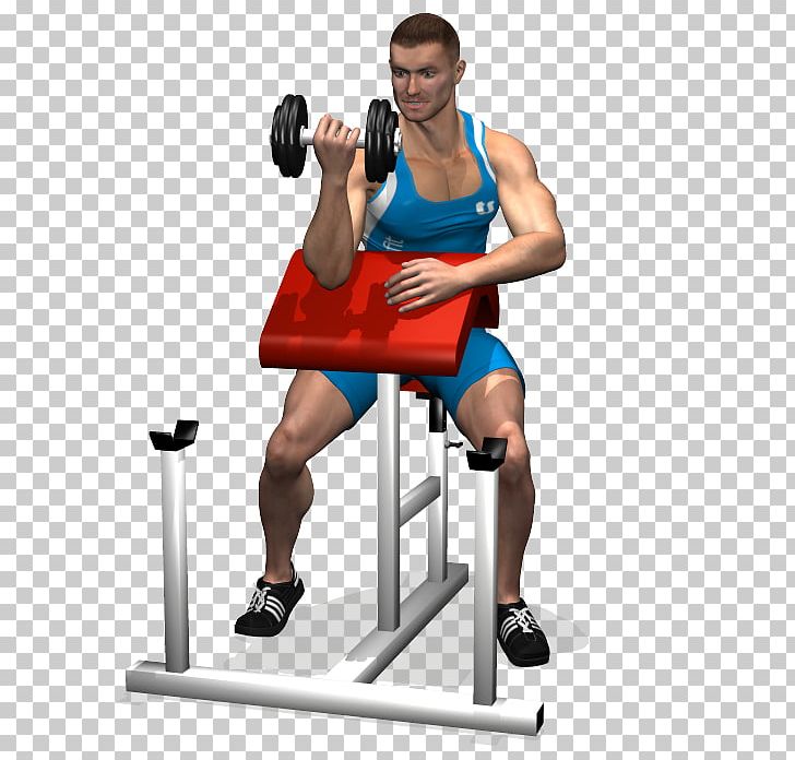 Panca Scott Dumbbell Biceps Curl Bench PNG, Clipart, Abdomen, Arm, Balance, Barbell, Brachioradialis Free PNG Download