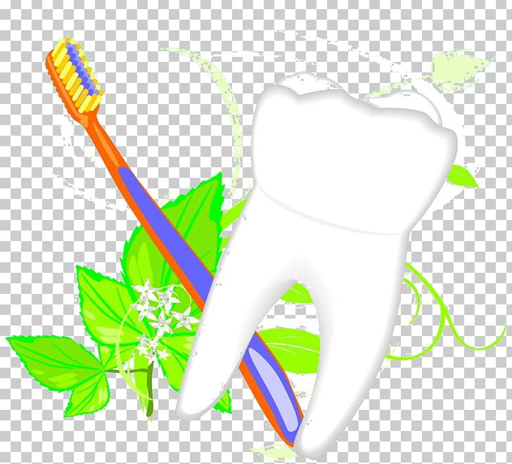 Toothbrush Illustration PNG, Clipart, Autumn Leaves, Brand, Brush, Brush Teeth, Dentistry Free PNG Download