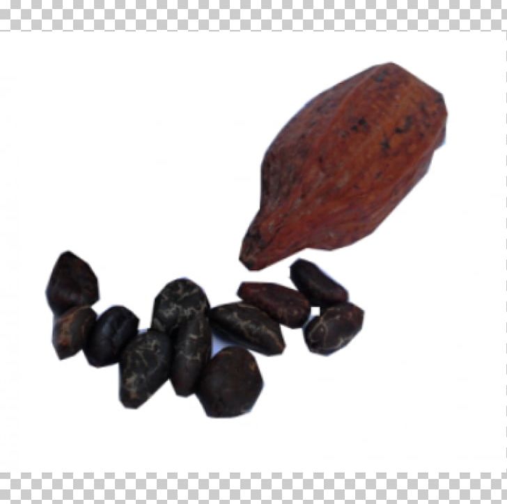 Cocoa Bean Commodity Theobroma Cacao PNG, Clipart, Cocoa Bean, Commodity, Nuts Seeds, Superfood, Theobroma Cacao Free PNG Download