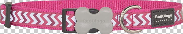 Dog Dingo Pet Collar Leash PNG, Clipart, Animals, Bag, Brand, Cat, Centimeter Free PNG Download