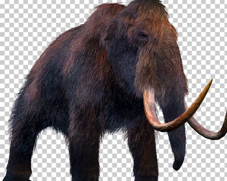 Mammoth Paper Drawing African Bush Elephant Dinosaur PNG, Clipart