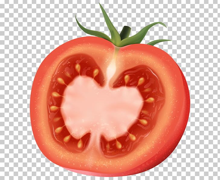 Plum Tomato Art PNG, Clipart, Art, Art Museum, Bush Tomato, Diet Food, Food Free PNG Download