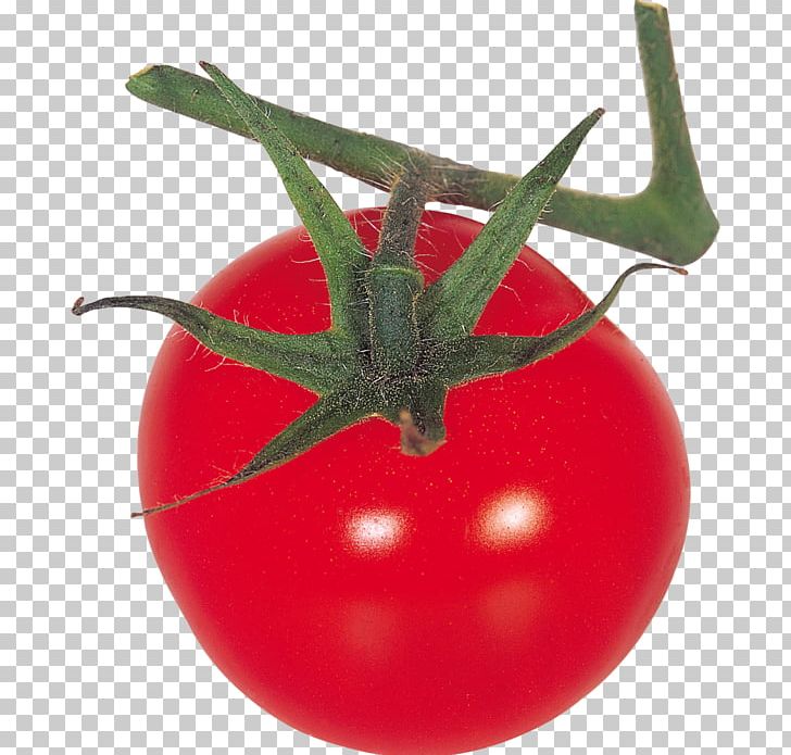 Tomato PhotoScape PNG, Clipart, Bush Tomato, Download, Food, Fruit, Gimp Free PNG Download