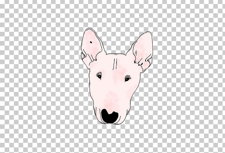 Bull Terrier (Miniature) Old English Terrier Bull And Terrier English White Terrier PNG, Clipart, Animal, Bull And Terrier, Bull Terrier, Bull Terrier Miniature, Canidae Free PNG Download