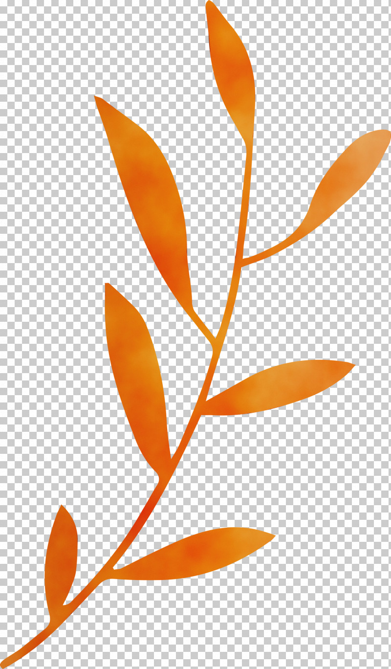 Plant Stem Leaf Orange S.a. Font PNG, Clipart, Biology, Leaf, Leaf Branch, Orange Sa, Paint Free PNG Download