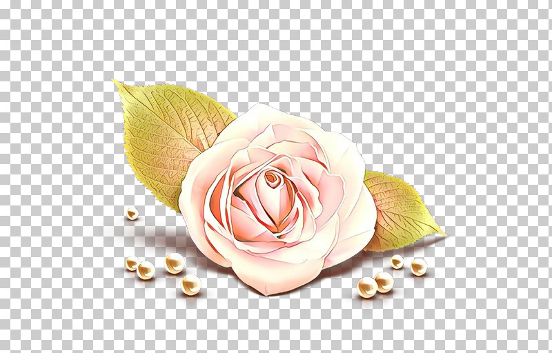 Garden Roses PNG, Clipart, Cut Flowers, Flower, Garden Roses, Hybrid Tea Rose, Petal Free PNG Download