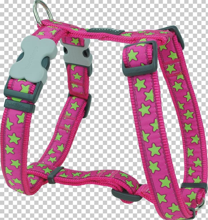 Dingo Dog Harness Yorkshire Terrier Dog Collar Pet PNG, Clipart, Collar, Color, Dingo, Dog, Dog Collar Free PNG Download