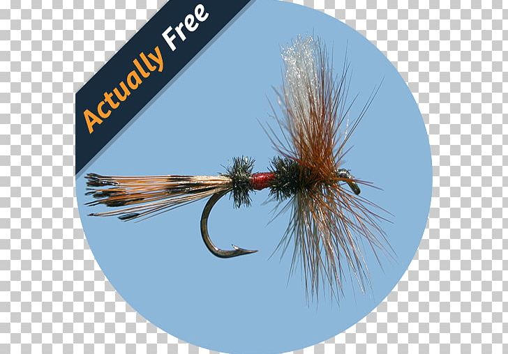 Fly Fishing Simulator HD Fishing Baits & Lures PNG, Clipart