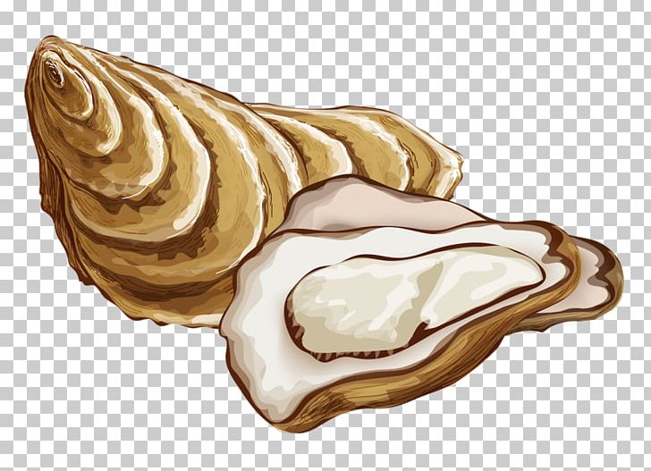 Oyster Drawing Mineral Food PNG, Clipart, Beach Shore, Button, Cartoon Conch, Conch, Conch Shell Free PNG Download