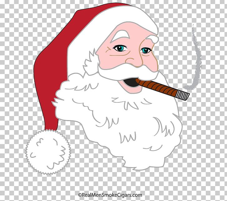 Santa Claus Nose Cheek Illustration PNG, Clipart, Art, Beard, Behavior, Cheek, Christmas Free PNG Download