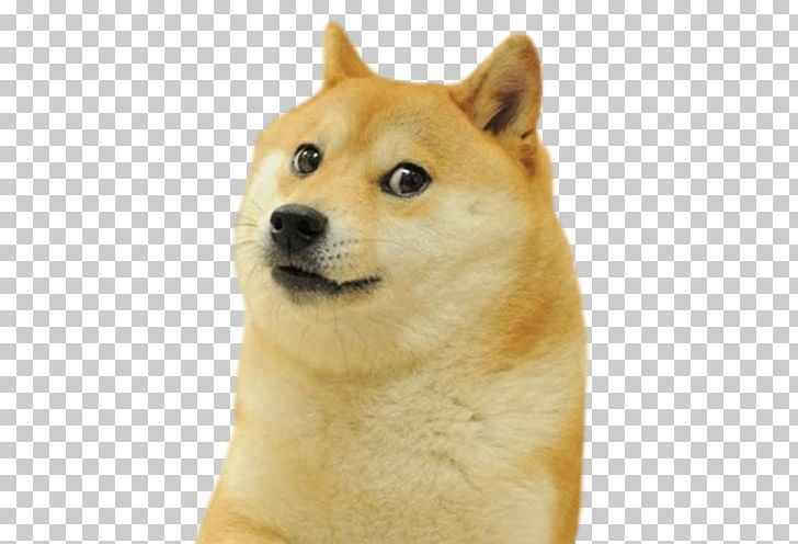 Ice Cream Dogecoin Doge Snake Dodge Doge PNG, Clipart, Akita Inu, Ancient Dog Breeds, Butt, Carnivoran, Companion Dog Free PNG Download