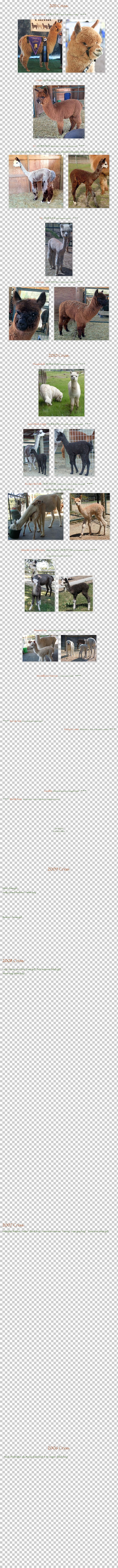 Light Line Angle PNG, Clipart, Alpaca, Angle, Light, Line, Nature Free PNG Download