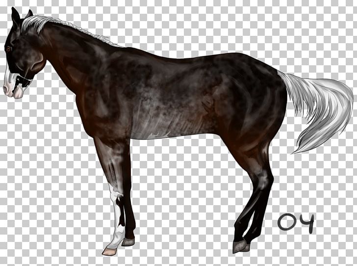 Mane Mustang Stallion Foal Mare PNG, Clipart, Bridle, Colt, Foal, Halter, Horse Free PNG Download