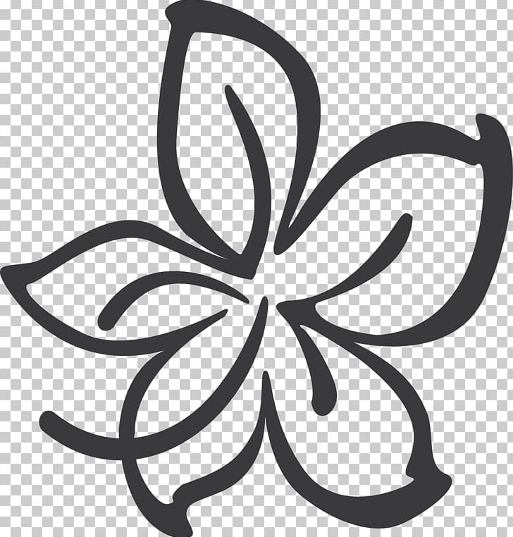 Petal Royal Flora Ratchaphruek Email Golden Shower Tree PNG, Clipart, Arts, Artwork, Black And White, Chemical Element, Circle Free PNG Download