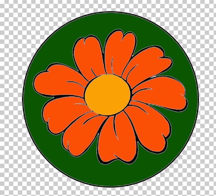 Transvaal Daisy Cut Flowers Sunflower M Petal PNG, Clipart, Circle, Cut Flowers, Daisy Family, Flower, Flowering Plant Free PNG Download