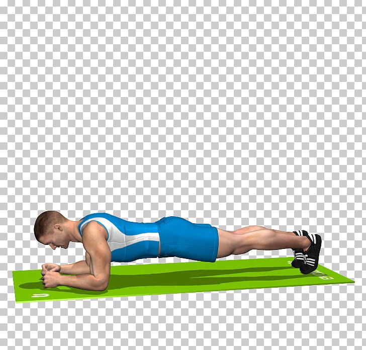 Plank Pilates Crunch Hip Rectus Abdominis Muscle PNG, Clipart, Abdomen, Arm, Balance, Calf, Chest Free PNG Download