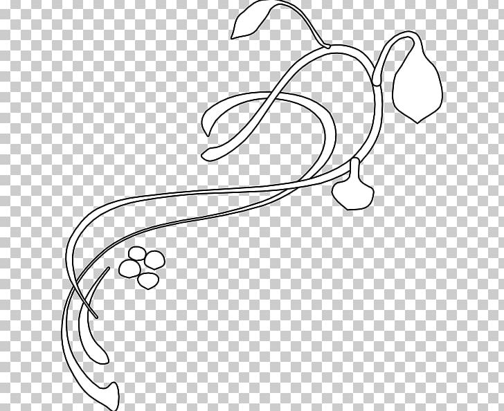 Plant Stem PNG, Clipart, Angle, Area, Art, Black, Black And White Free PNG Download