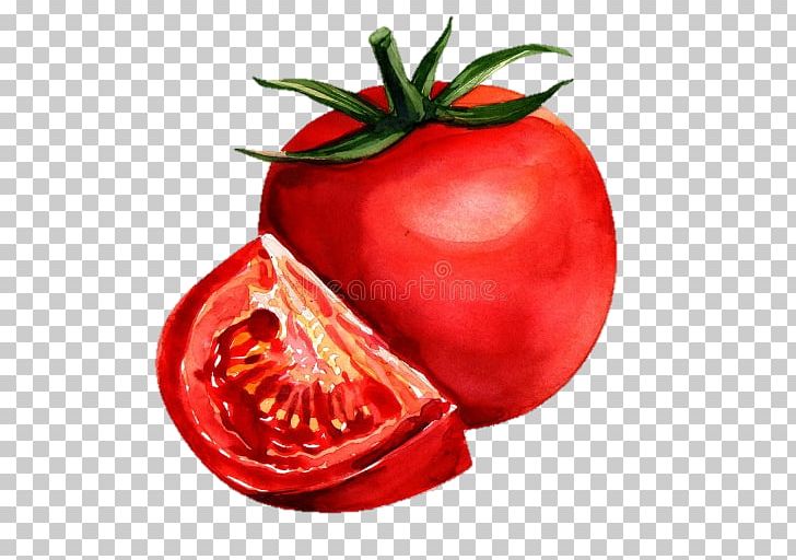 Watercolor Painting Tomato Drawing PNG, Clipart, Apple, Art, Bush Tomato, Cheese, Cooking Free PNG Download