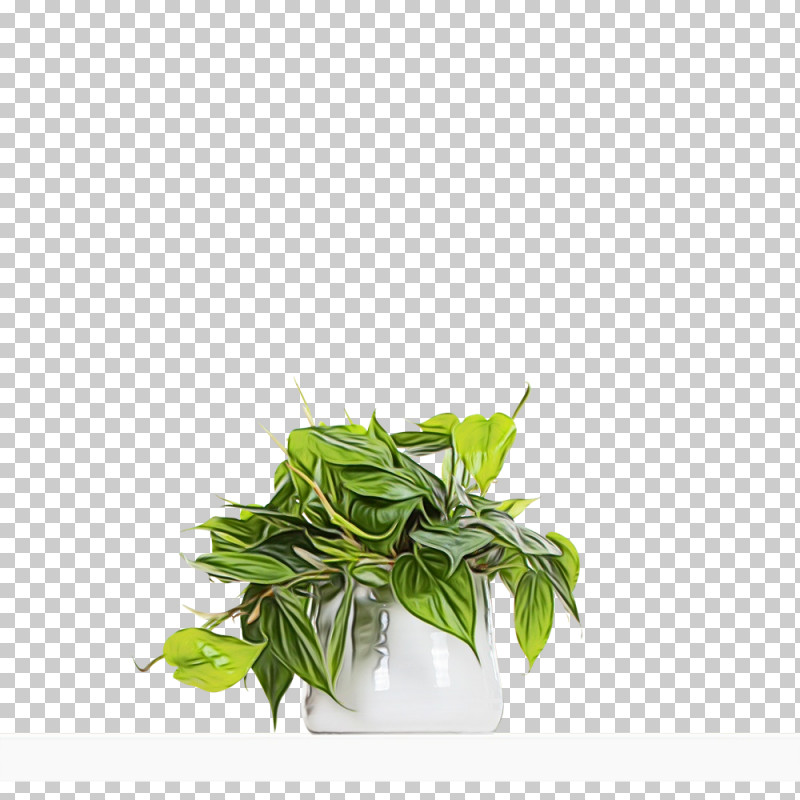 Herbal Medicine Leaf Herb Flowerpot Plant Structure PNG, Clipart, Biology, Flowerpot, Herb, Herbal Medicine, Leaf Free PNG Download