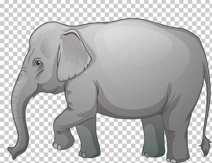 African Elephant Elephants Illustration Graphics PNG, Clipart, African Elephant, Animals, Asian, Asian Elephant, Black And White Free PNG Download