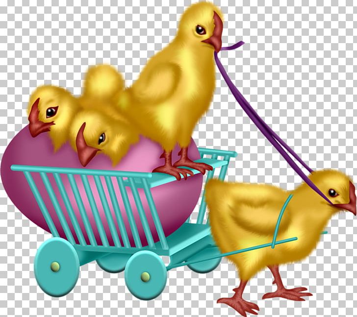 Duck Easter Chicken PNG, Clipart, Animals, Animation, Beak, Bird, Cartoon Free PNG Download