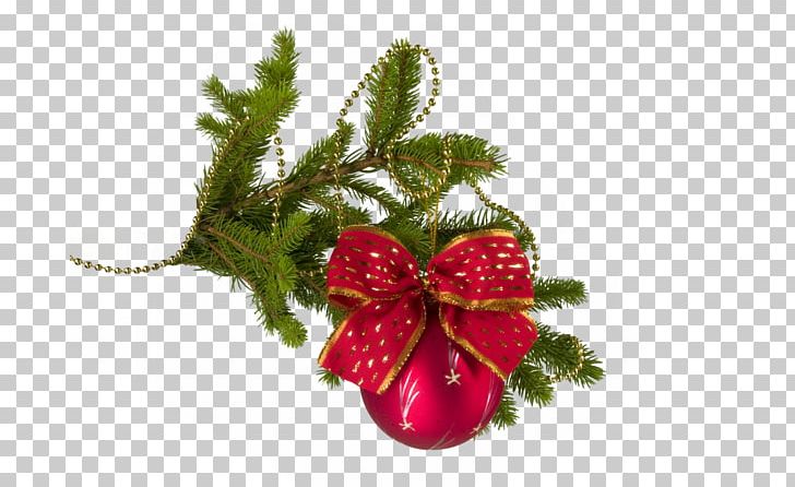 New Year Tree Christmas Holiday PNG, Clipart,  Free PNG Download