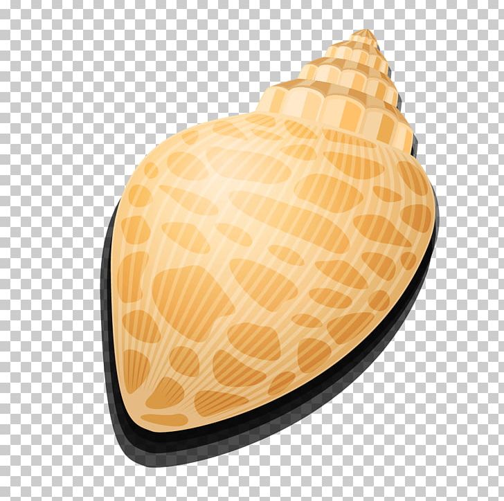 Seashell Vecteur Conch Sea Snail PNG, Clipart, Conc, Conch Blowing, Conchology, Conch Pattern, Conch Png Free Download Free PNG Download