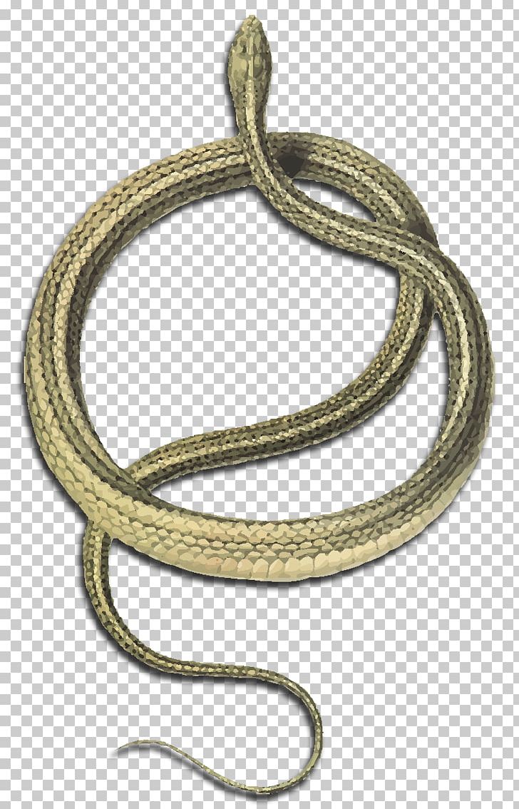 Shadow Of The Snake Reptile PNG, Clipart, Animal, Animals, Body Jewelry, Bracelet, Chain Free PNG Download