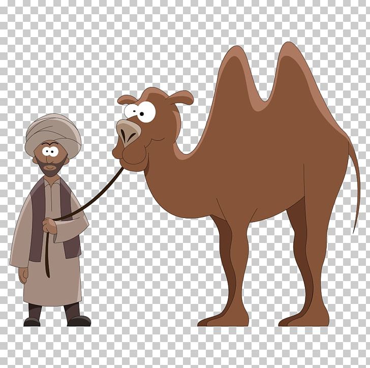 Dromedary Cartoon PNG, Clipart, Angry Man, Animals, Business Man, Camel  Vector, Cartoon Characters Free PNG Download