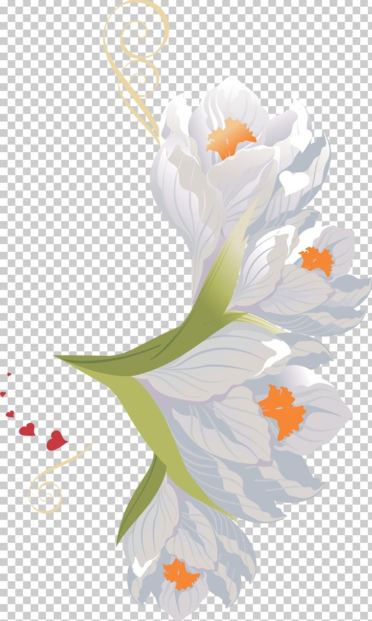 Flower PNG, Clipart, Animation, Art, Beak, Bird, Crocus Free PNG Download