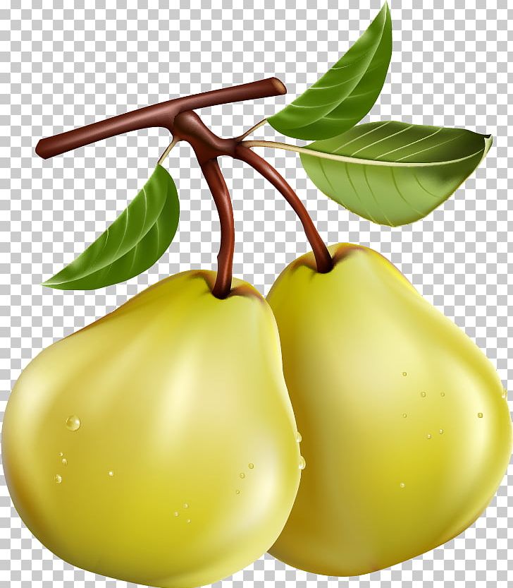 Pear Fruit Pome PNG, Clipart, Accessory Fruit, Apple, Food, Fruit, Fruit Nut Free PNG Download