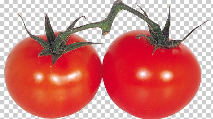 Plum Tomato Bush Tomato Tomato Juice Souvlaki PNG, Clipart, Bush Tomato, Cherry, Diet Food, Doner Kebab, Food Free PNG Download