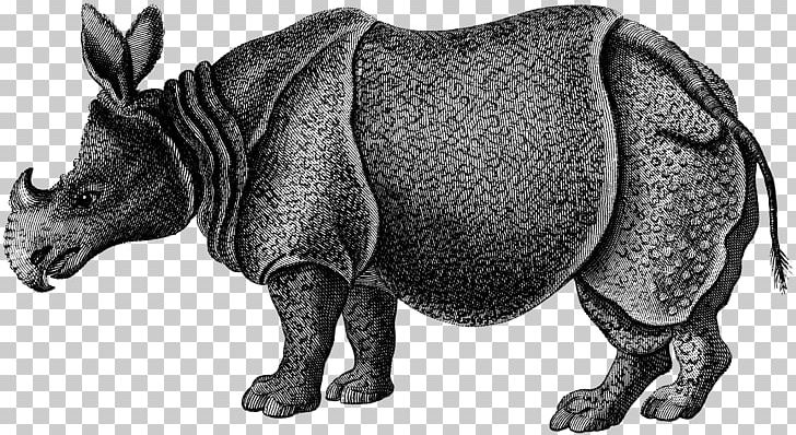 Rhinoceros Zoological Lectures Delivered At The Royal Institution; Tile Striped Hyena Mammal PNG, Clipart, African Rhino, Animal, Black And White, Ceramic, Craft Magnets Free PNG Download