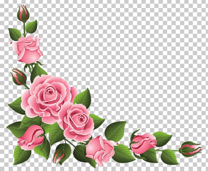 Rosa Chinensis Flower Pink PNG, Clipart, Cut Flowers, Download, Encapsulated Postscript, Floral Design, Floristry Free PNG Download