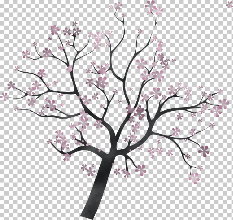 Cherry Blossom PNG, Clipart, Blossom, Branch, Cherry Blossom, Flower, Flowering Dogwood Free PNG Download