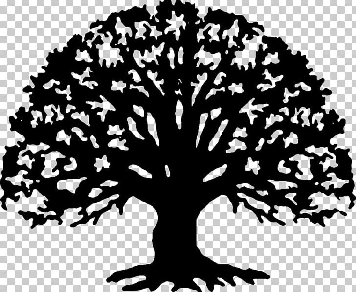 Family Reunion Family Tree PNG, Clipart, Art, Black And White, Branch, Cli, Document Free PNG Download