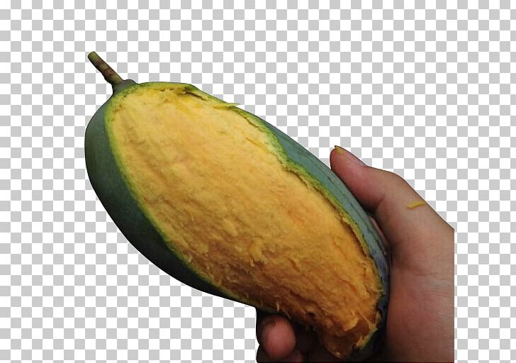 Mango Qingpi Avocado PNG, Clipart, Auglis, Avocado, Download, Encapsulated Postscript, Food Free PNG Download