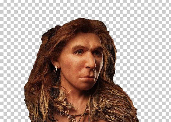 Neandertal Homo Sapiens Paleolithic Reconstruction Era Human Evolution PNG, Clipart, Ancient Dna, Brown Hair, Denisovan, Europeans, Female Free PNG Download
