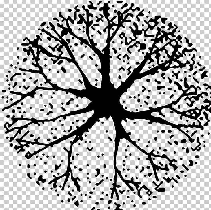 Tree Black And White Woody Plant PNG, Clipart, Architecture, Area, Artwork, Black And White, Branch Free PNG Download
