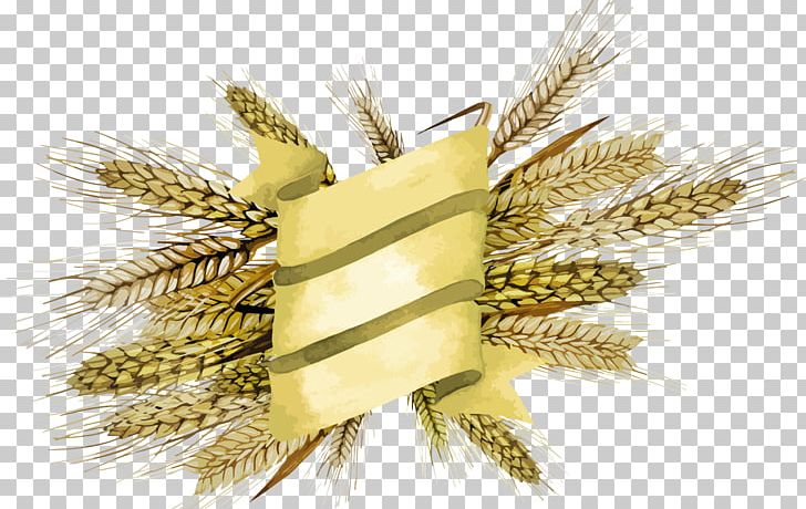 Cereal Wheat Rice Euclidean PNG, Clipart, Barley, Cereal, Commodity, Euclidean Vector, Food Free PNG Download