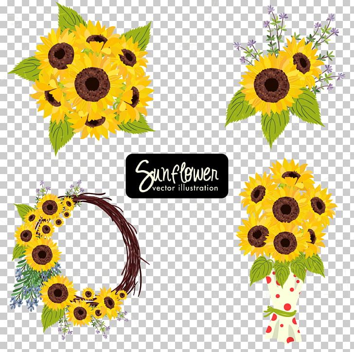 Common Sunflower Sunflower Seed Icon PNG, Clipart, Adobe Illustrator, Botany, Collection, Daisy Family, Encapsulated Postscript Free PNG Download