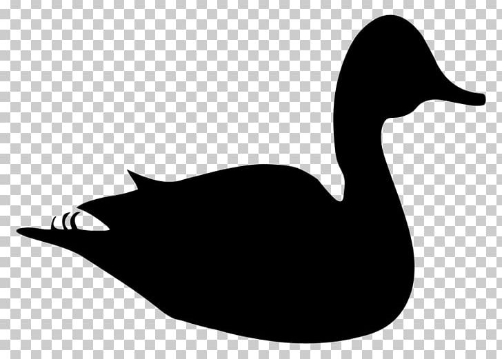 Daisy Duck Mallard PNG, Clipart, Animals, Beak, Bird, Black And White, Daisy Duck Free PNG Download