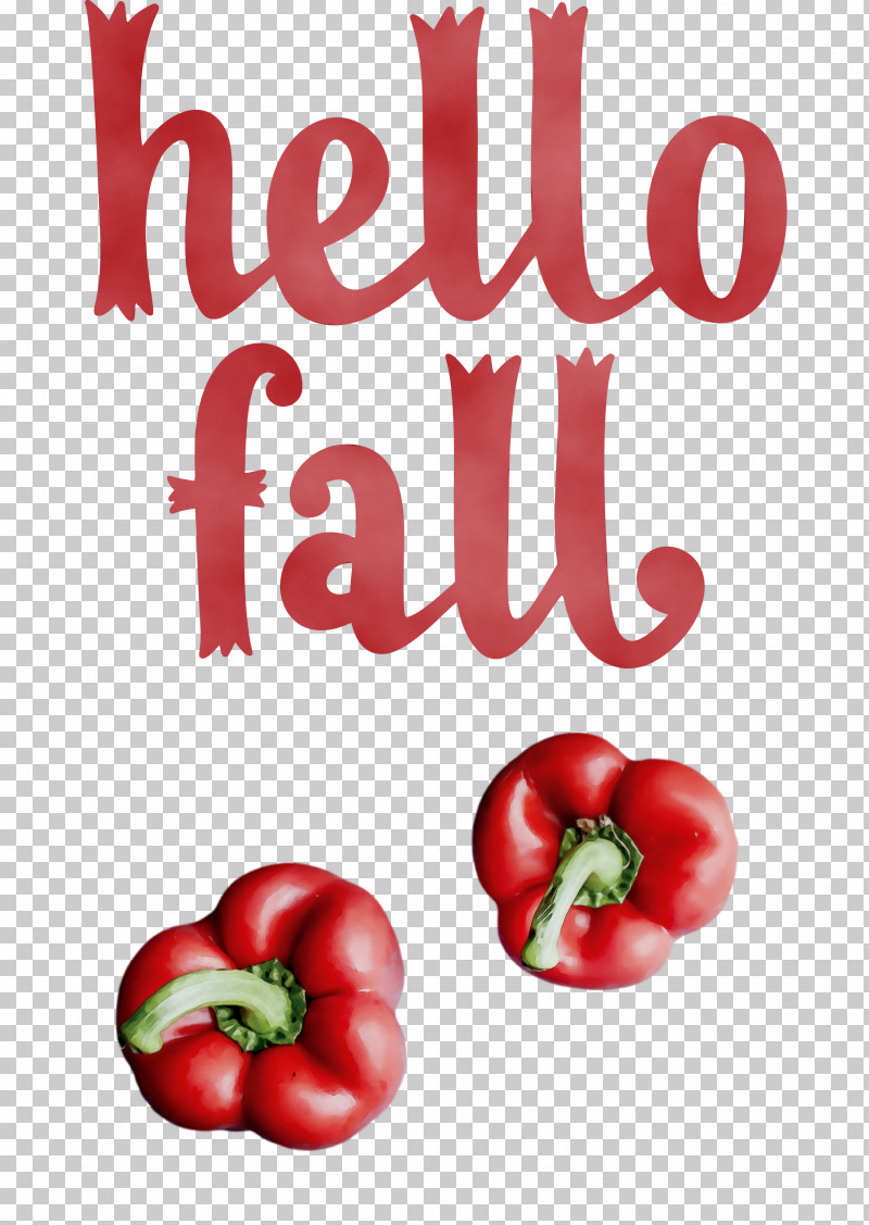 Tomato PNG, Clipart, Autumn, Bell Pepper, Black Pepper, Cayenne Pepper, Chili Pepper Free PNG Download