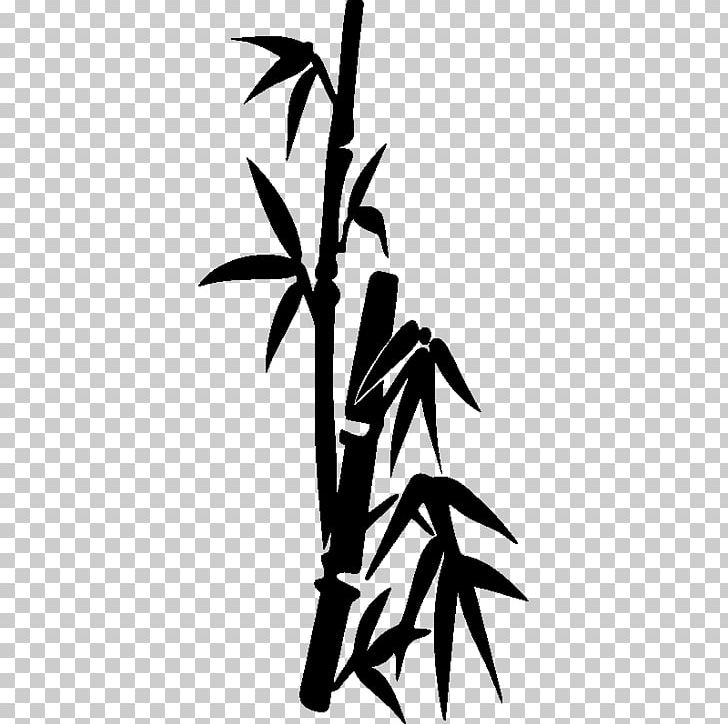 Bambou Bamboo Wall Decal Sticker Paper PNG, Clipart, Bamboo, Black And White, Branch, Decal, Flora Free PNG Download
